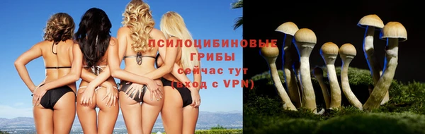 таблы Армянск