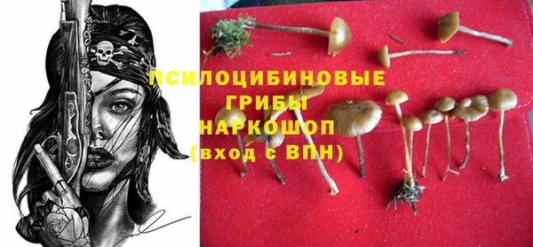 прущая мука Арсеньев