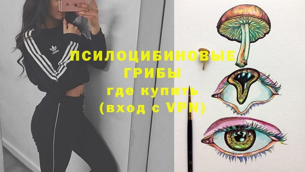 таблы Армянск